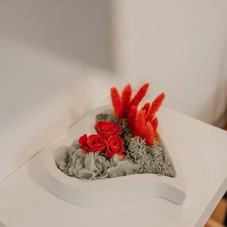 Solari New Apartment *